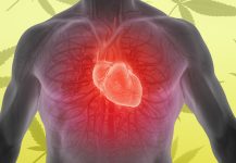 Kalp Hastalığı için CBD Tedavisi
