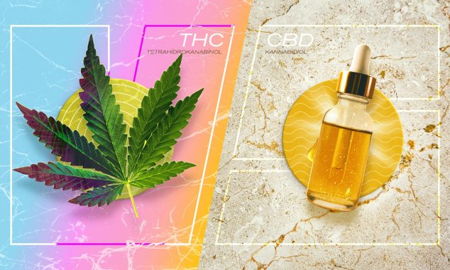 THC ve CBD: 2025 Kapsamlı Bilimsel Rehberi – Farkları, Etkileri, Tıbbi Kullanımları ve Türkiye'deki Yasal Durumu 11 THC Nedir - THC ve CBD Arasındaki Farklar Nelerdir 2