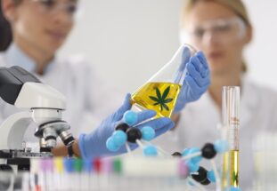 CBD Yağı mı, Kenevir Tohumu Yağı mı? Paranızı Çöpe Atmayın, Aradaki 7 Kritik Farkı Öğrenin! 1 CBD Yağı mı, Kenevir Tohumu Yağı mı