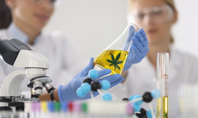 CBD Yağı mı, Kenevir Tohumu Yağı mı