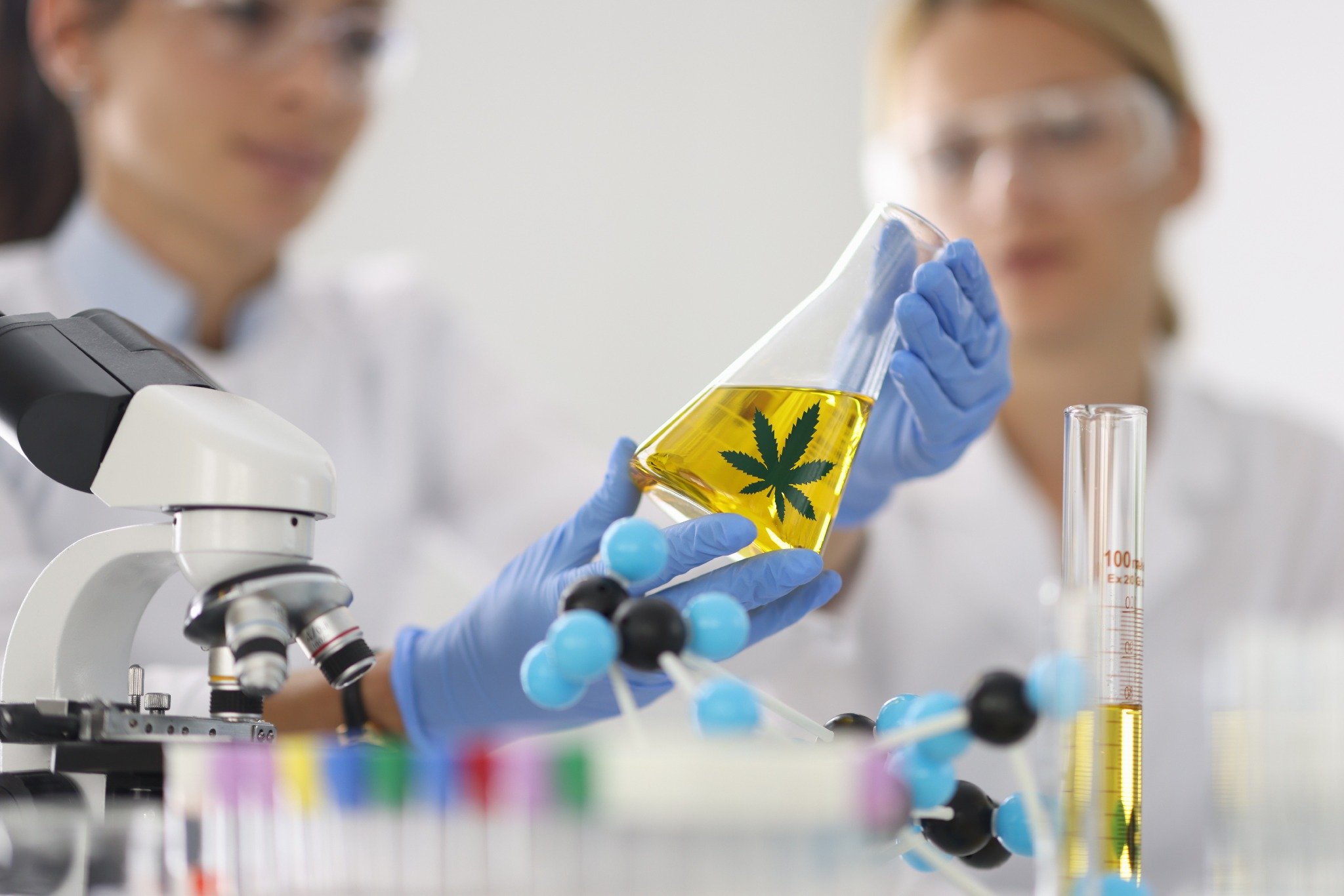 CBD Yağı mı, Kenevir Tohumu Yağı mı? Paranızı Çöpe Atmayın, Aradaki 7 Kritik Farkı Öğrenin! 1 CBD Yağı mı, Kenevir Tohumu Yağı mı