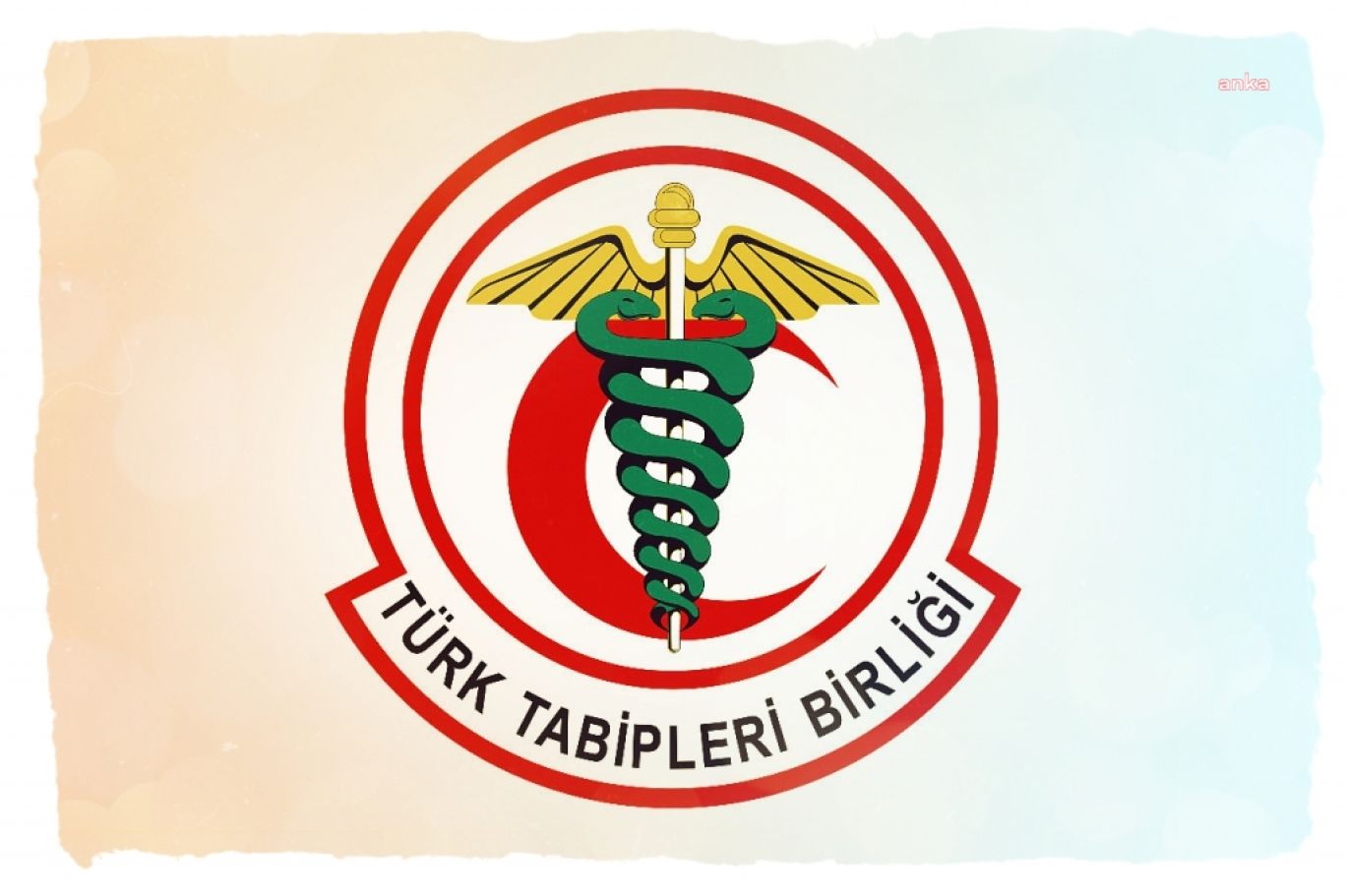 Türk Tabipleri Birliği'nden Kenevir Uyarısı: "Tıbbi Kullanım Sınırlı, Halk Sağlığı Riskleri Göz Ardı Edilmemeli 1 Türk Tabipleri Birliği